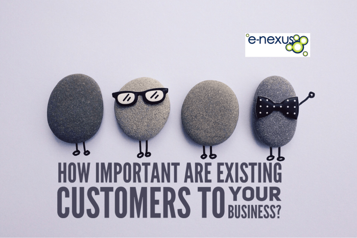 How important are existing customers to your business